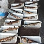 秋刀魚